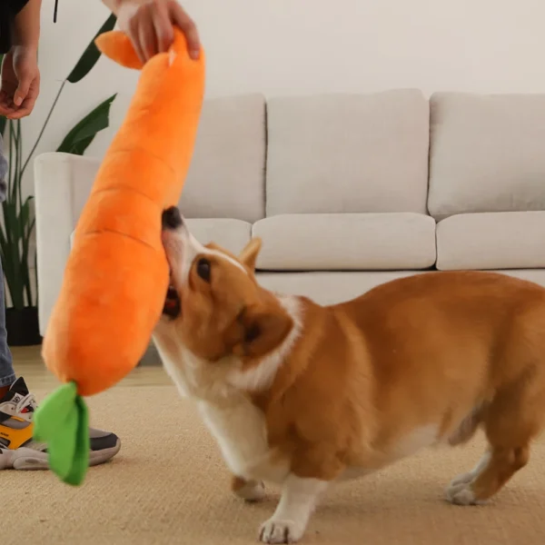 HOOPET Carrot Plush Dog Toy – Squeaky Vegetable Chew Toy for Small to Large Dogs