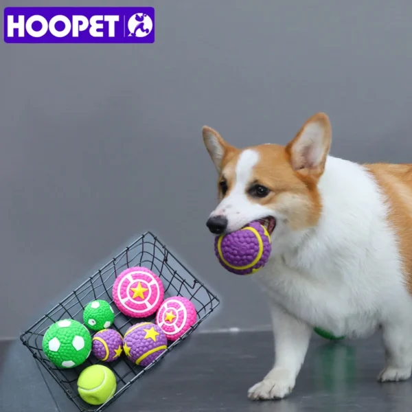 HOOPET Bite-Resistant Dog Toy Ball – Squeaky Chew Toy for Puppies, Corgis & Labradors