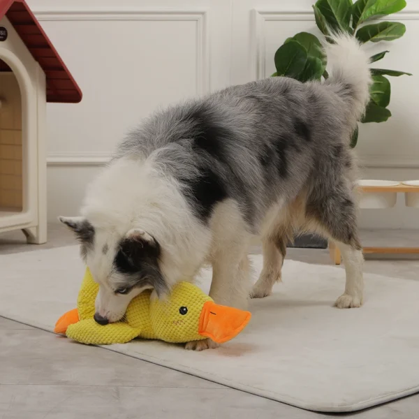 HOOPET VIP Duck Dog Toy – Squeaky Chew Toy for Medium & Large Dogs, Outdoor Interactive Training Toy