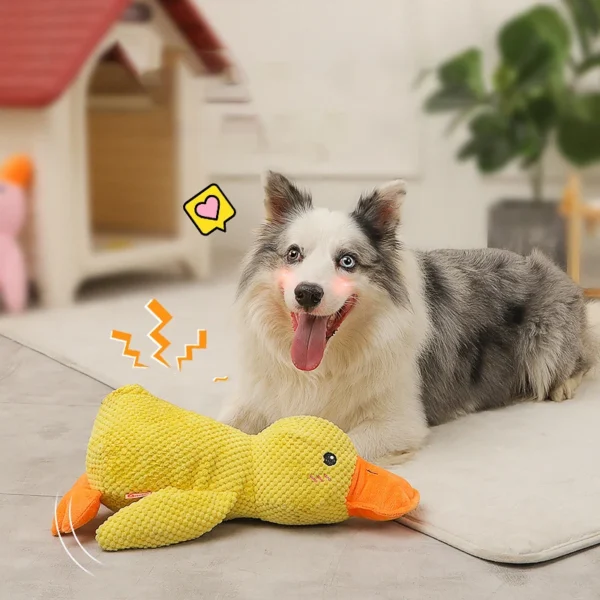HOOPET VIP Duck Dog Toy – Squeaky Chew Toy for Medium & Large Dogs, Outdoor Interactive Training Toy