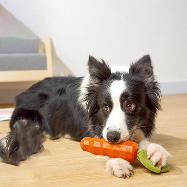 HOOPET Bite-Resistant Carrot Chew Toy – Sound Toy for Small Dogs & Puppies, Cotton & Rubber, Teeth Cleaning
