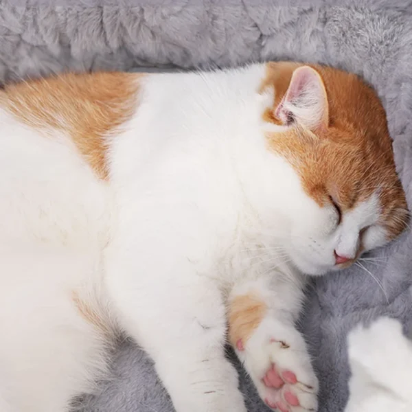 Soft Plush Cat Bed House – Warm Winter Nest Kennel for Cats & Small Dogs, Cozy Pet Cushion Mat