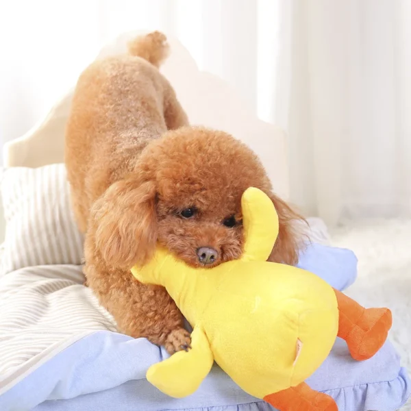 HOOPET Yellow Duck Dog Chew Toy – Funny Interactive Training Toy for Puppies & Cats