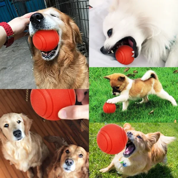 HOOPET Durable Rubber Dog Ball – Bite-Resistant Toy for Puppies, Pitbulls, Teddies (S–XL, Red)
