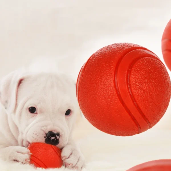HOOPET Durable Rubber Dog Ball – Bite-Resistant Toy for Puppies, Pitbulls, Teddies (S–XL, Red)
