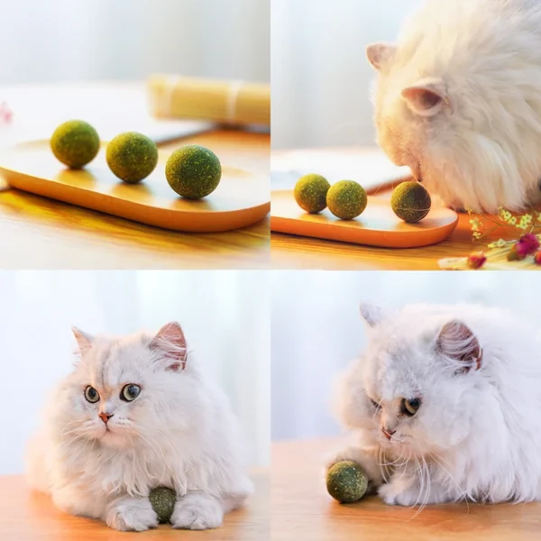 HOOPET Organic Catnip Ball – Natural Mint Cat Toy for Training & Treats