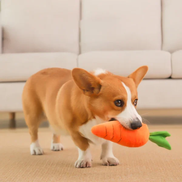 HOOPET Carrot Plush Dog Toy – Squeaky Vegetable Chew Toy for Small to Large Dogs