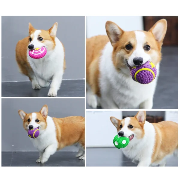 HOOPET Bite-Resistant Dog Toy Ball – Squeaky Chew Toy for Puppies, Corgis & Labradors