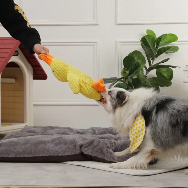 HOOPET VIP Duck Dog Toy – Squeaky Chew Toy for Medium & Large Dogs, Outdoor Interactive Training Toy