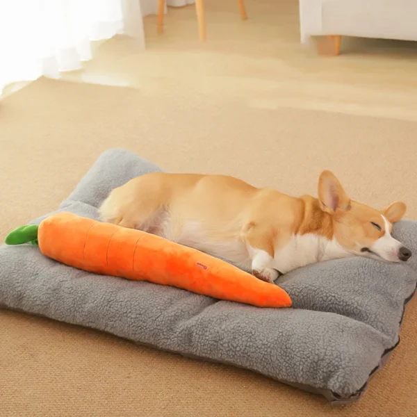 HOOPET Carrot Plush Dog Toy – Squeaky Vegetable Chew Toy for Small to Large Dogs