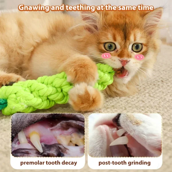 HOOPET Catnip Teething Stick – Bite-Resistant Cat Toy for Kittens