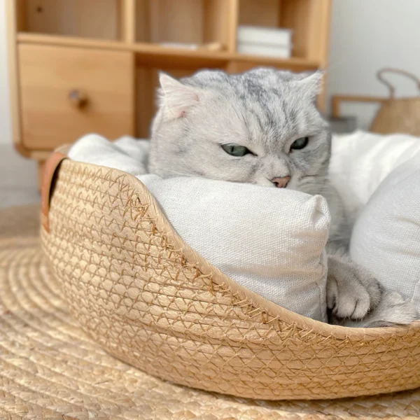 Handwoven Bamboo Pet Bed – Four Seasons Cozy Kennel Sofa for Cats & Small Dogs | Breathable, Durable Nest-Style Pet Cushion