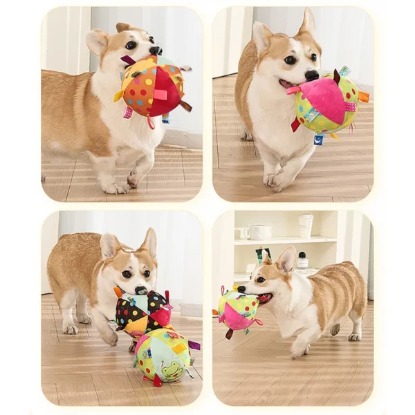 HOOPET Interactive Dog Soccer Ball – Durable Inflated Football Toy for Outdoor Play & Training