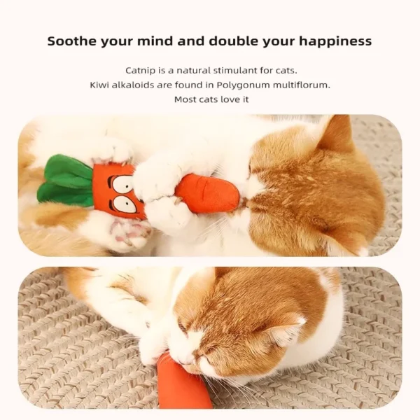 Interactive Cat Toy with Scratching Board & Catnip – Plush Teething Play for Kittens