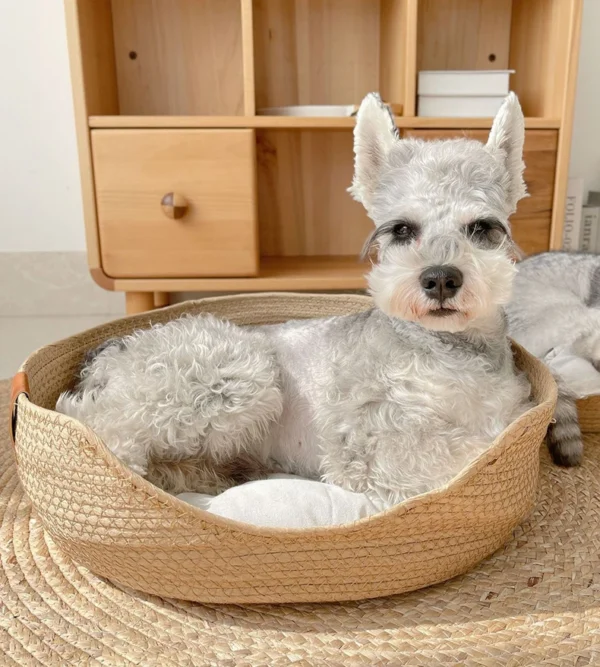 Handwoven Bamboo Pet Bed – Four Seasons Cozy Kennel Sofa for Cats & Small Dogs | Breathable, Durable Nest-Style Pet Cushion