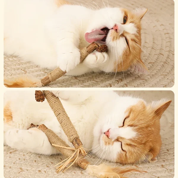 HOOPET Catnip Molar Stick – Natural Wooden Polygonum & Lafite Grass Cat Toy