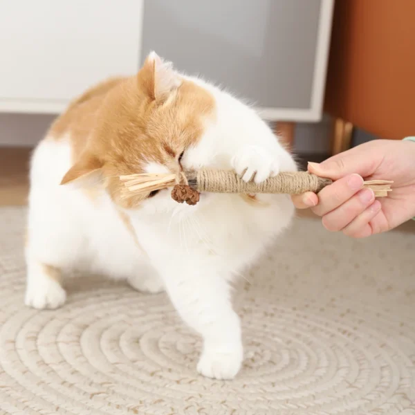 HOOPET Catnip Molar Stick – Natural Wooden Polygonum & Lafite Grass Cat Toy