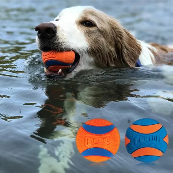 HOOPET Squeaky Rubber Ball for Dogs – Chew Toy, Elastic, Fun & Durable