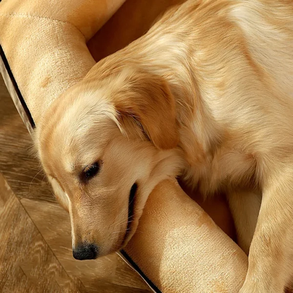 Cozy Rectangular Dog Sleeping Bed – Warm Washable Mattress Nest for Puppies, Cats & Small Dogs