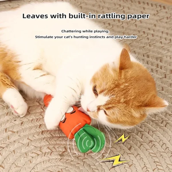 Interactive Cat Toy with Scratching Board & Catnip – Plush Teething Play for Kittens