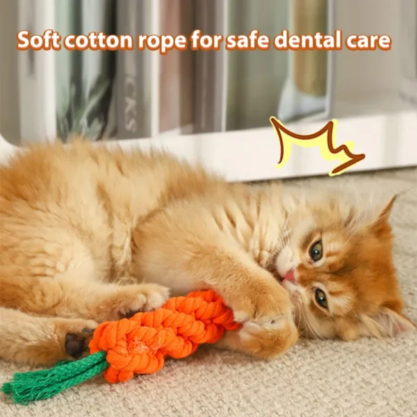 HOOPET Catnip Teething Stick – Bite-Resistant Cat Toy for Kittens