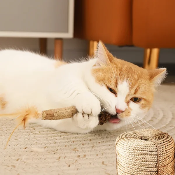HOOPET Catnip Molar Stick – Natural Wooden Polygonum & Lafite Grass Cat Toy