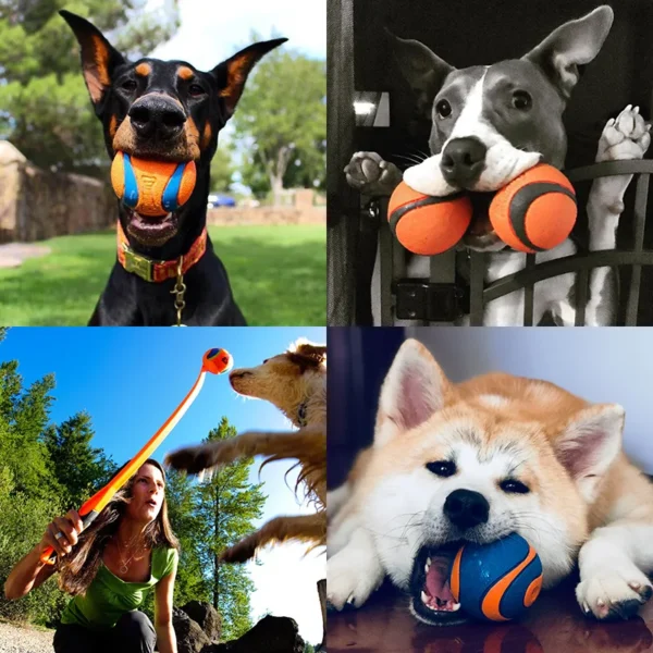 HOOPET Squeaky Rubber Ball for Dogs – Chew Toy, Elastic, Fun & Durable