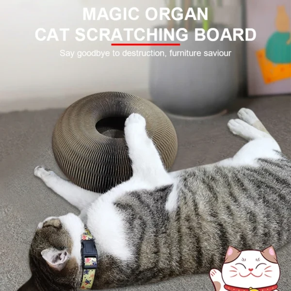HOOPET Foldable Cat Scratch Board with Bell Ball – Round Corrugated Cardboard Toy