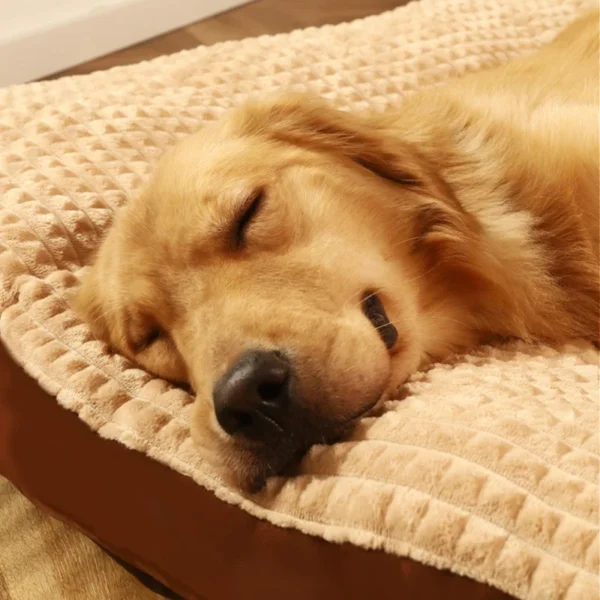 Warm Fleece Pet Bed – Soft Sleeping Blanket & Detachable Cushion Mat for Small to Large Dogs & Cats
